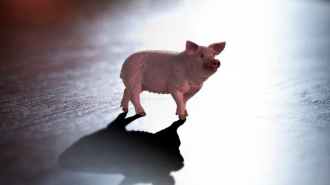 Schweinchen aus Kuststoff